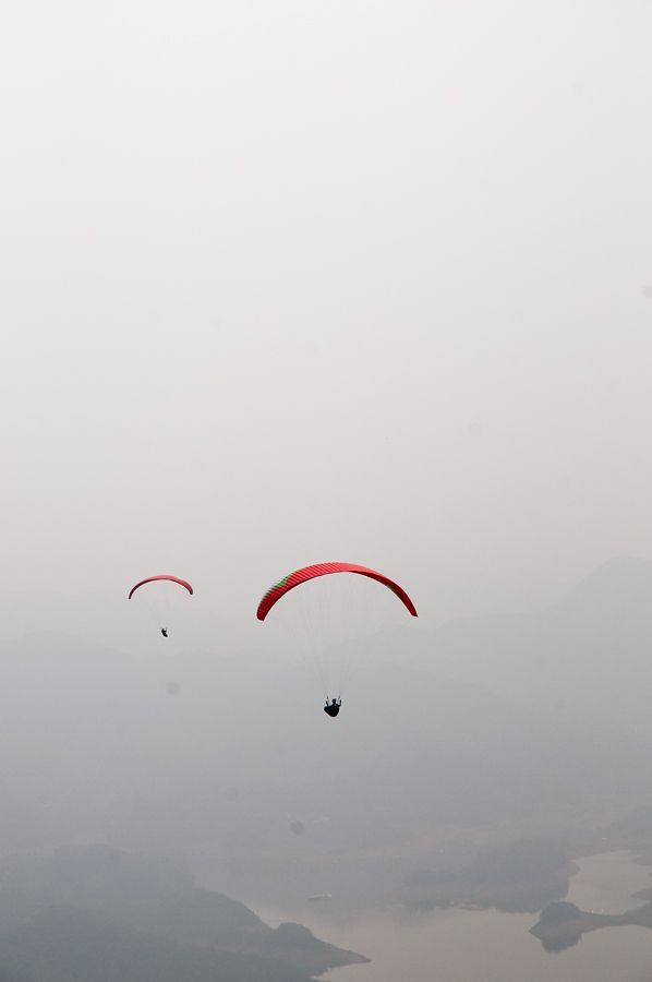 _D306432.jpg