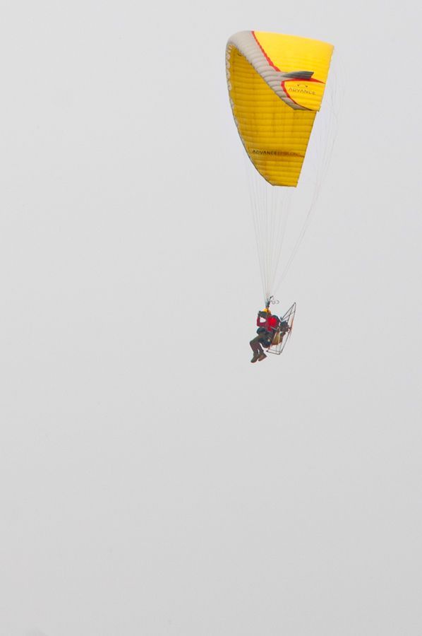 _D306438.jpg