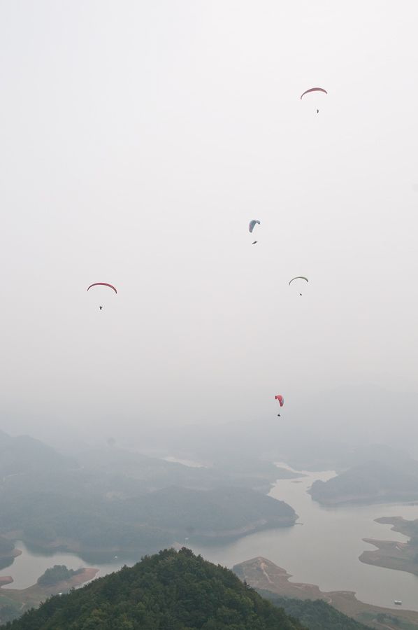 _D306434.jpg