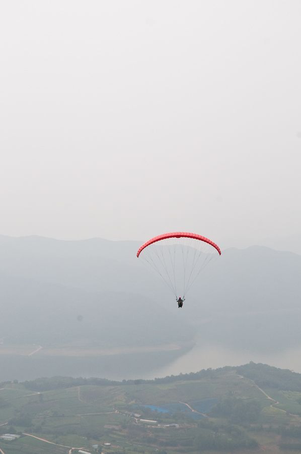 _D306517.jpg