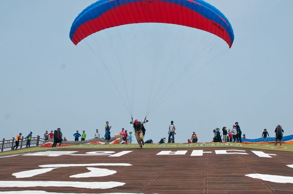 _D306479.jpg