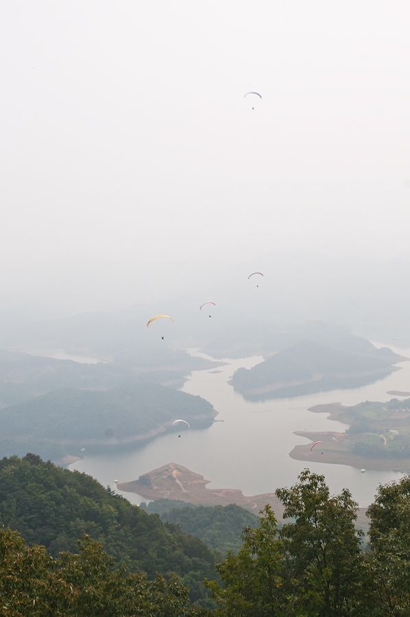_D306488.jpg