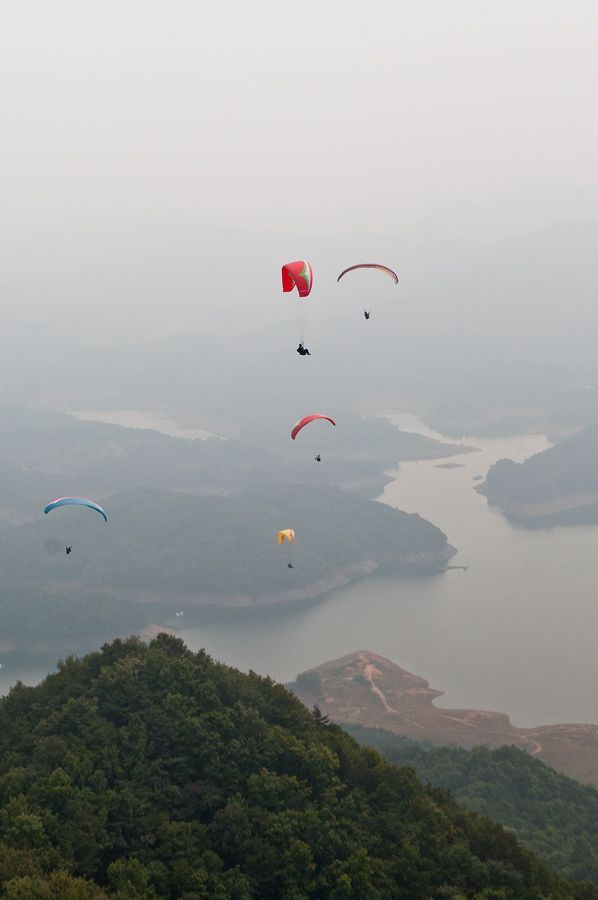 _D306454.jpg