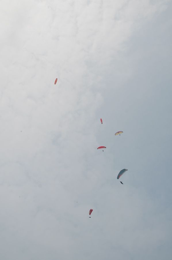 _D306439.jpg