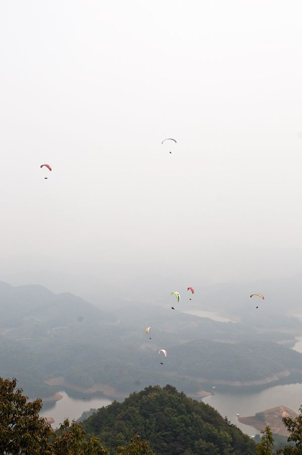 _D306508.jpg