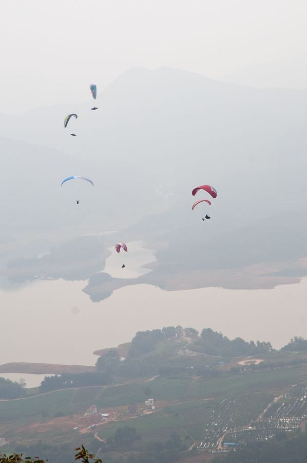 _D306471.jpg
