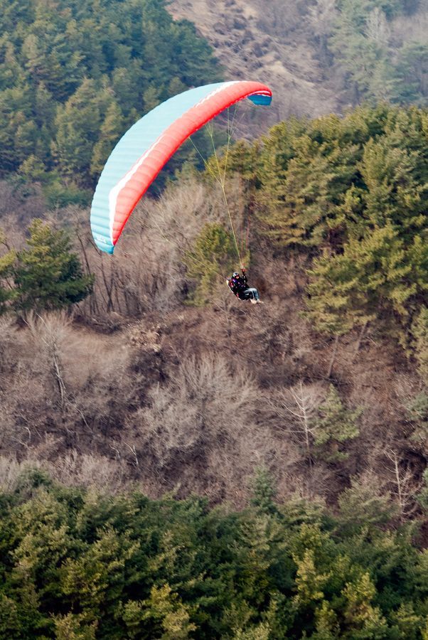 _D150286.jpg