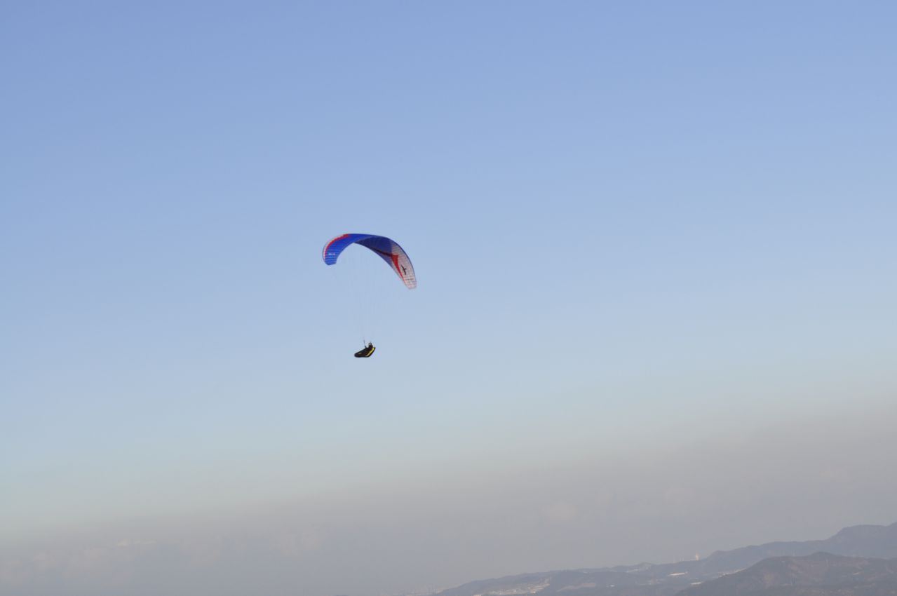 _DSC0300.JPG
