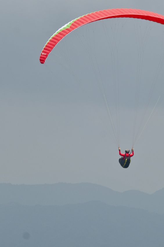 _D304957.jpg