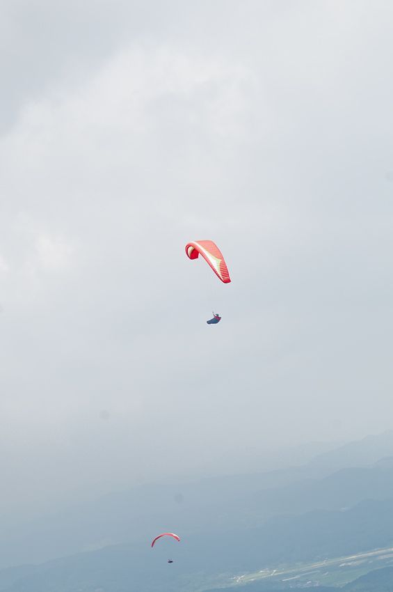 _D304942.jpg