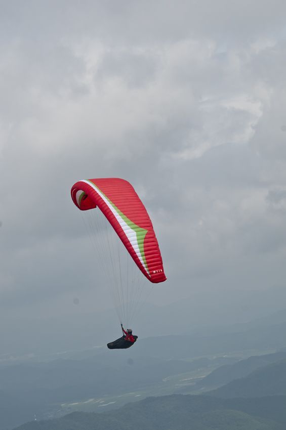 _D304954.jpg