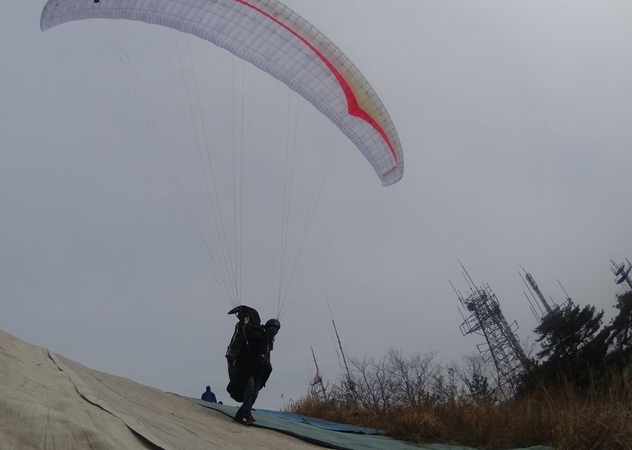 DSC00220-crop.JPG