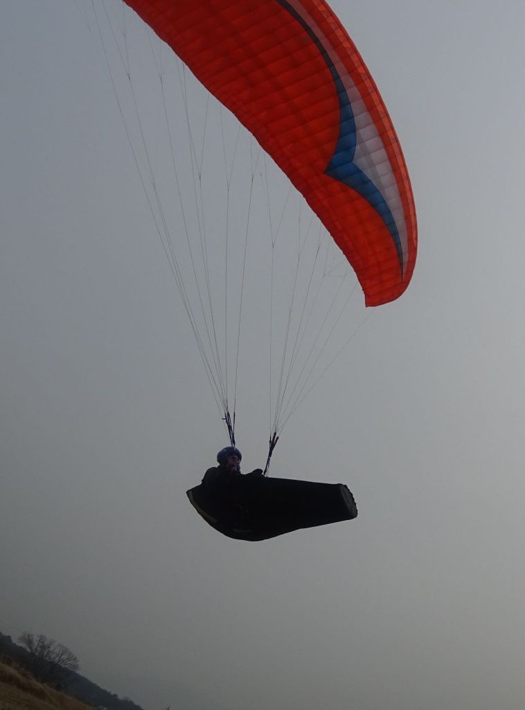 DSC00255-crop.JPG