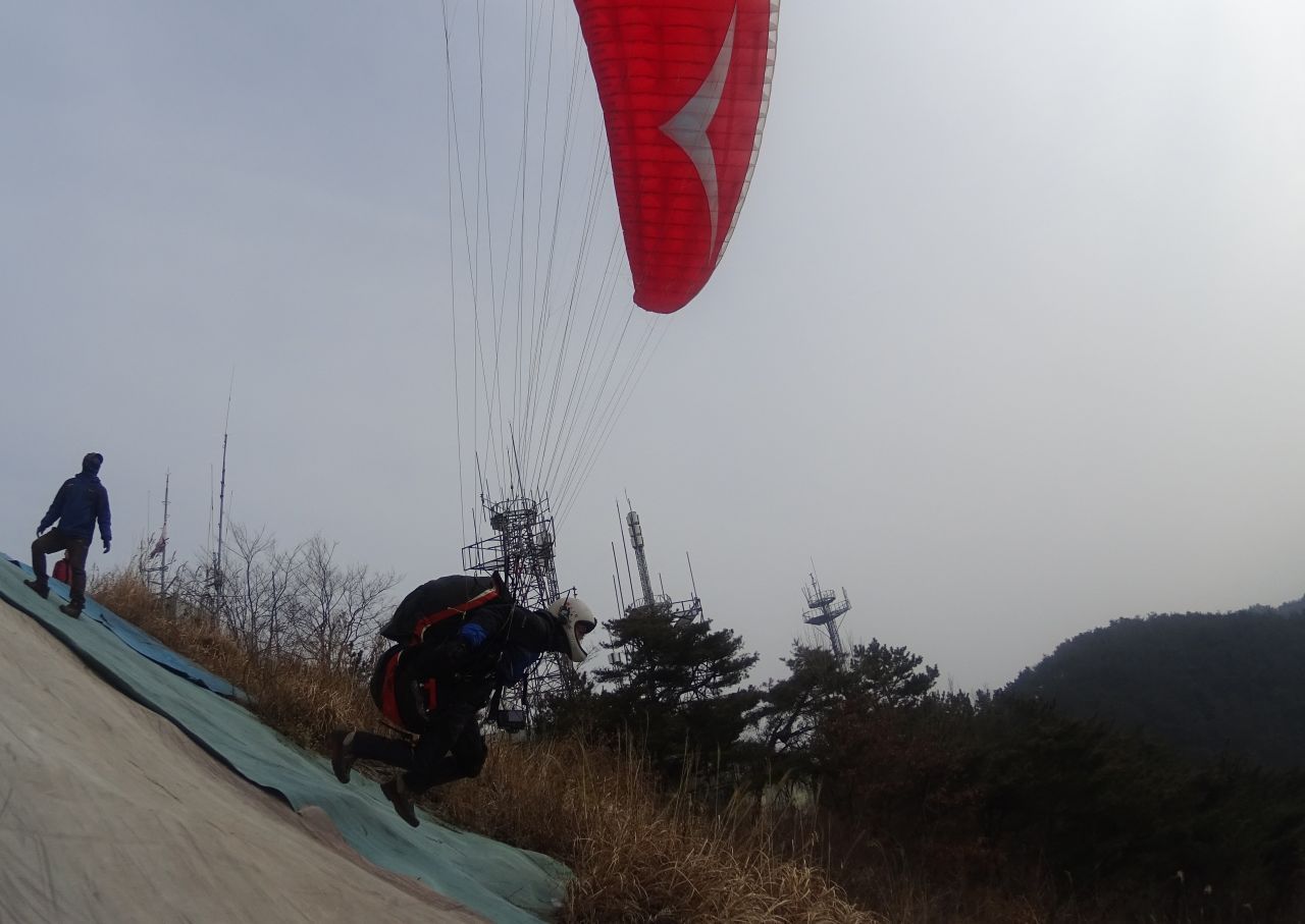 DSC00203-crop.JPG