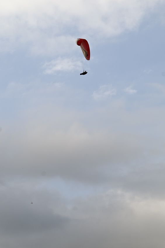 _D305078.jpg