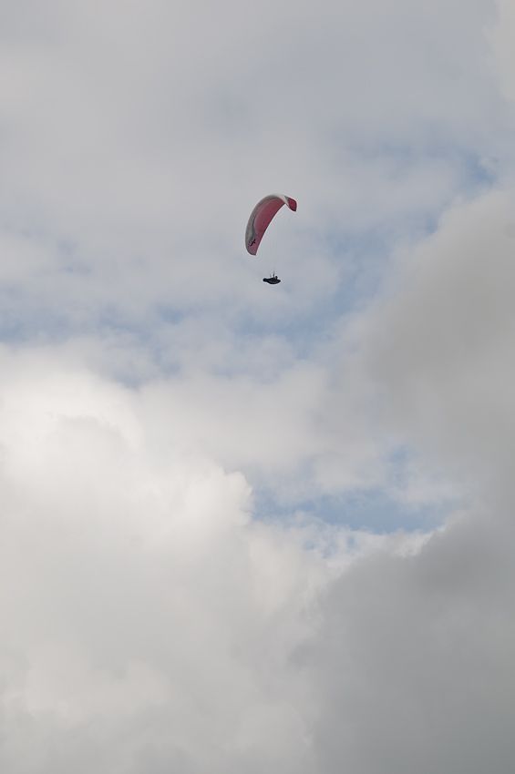 _D305076.jpg