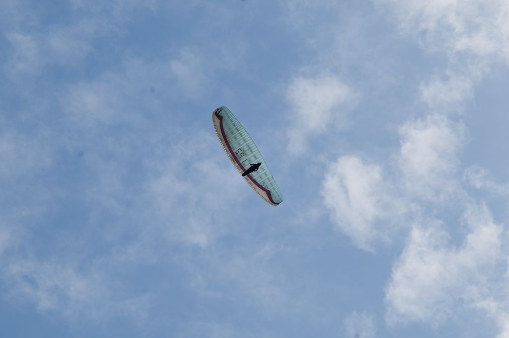 _D305091.jpg