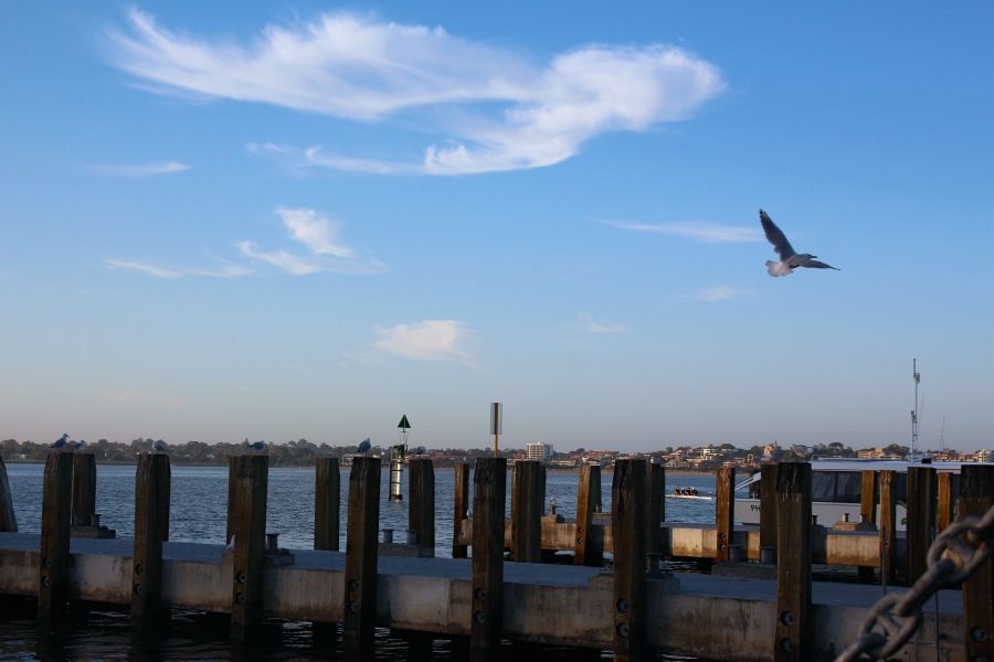 IMG_3993_Fotor.jpg