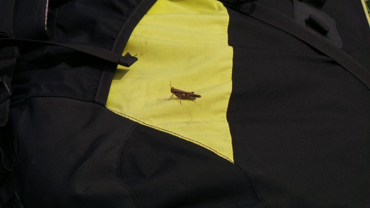 크기변환_20140831_113727.JPG