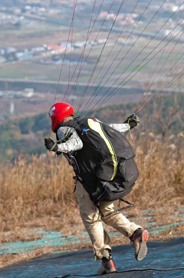 _D308882.jpg