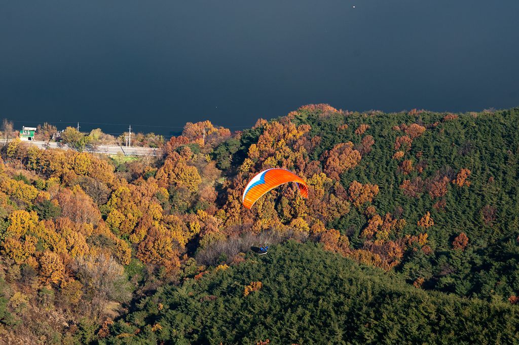 _D308929.jpg