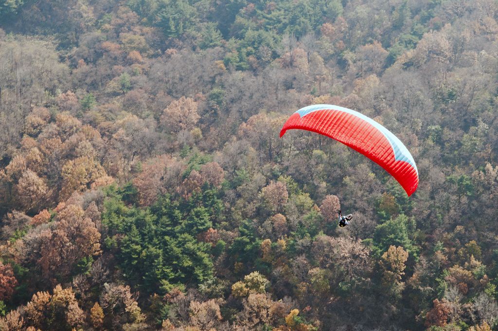 _D308921.jpg
