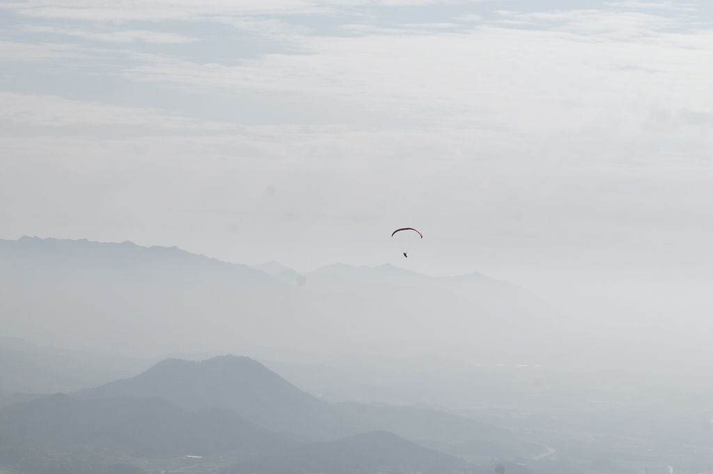 _D308943.jpg