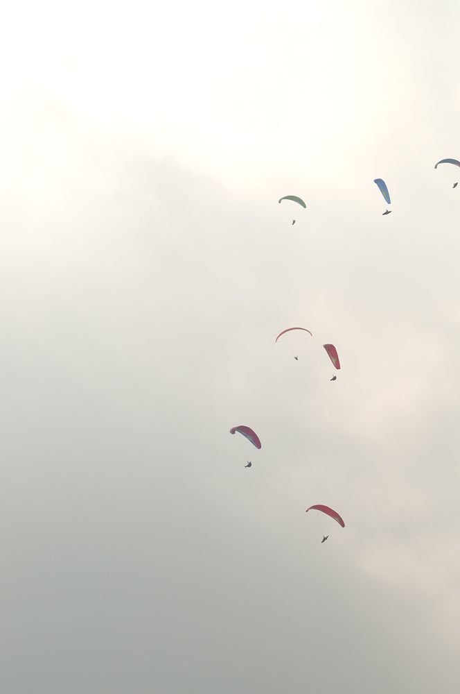 D15_3165.jpg
