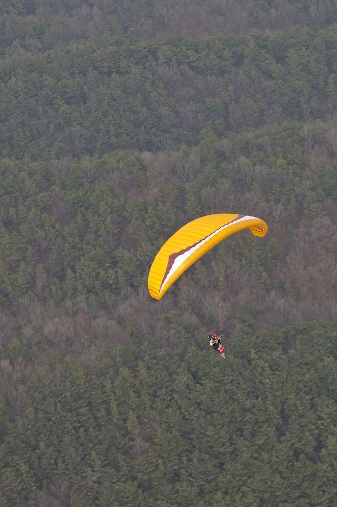D15_3197.jpg