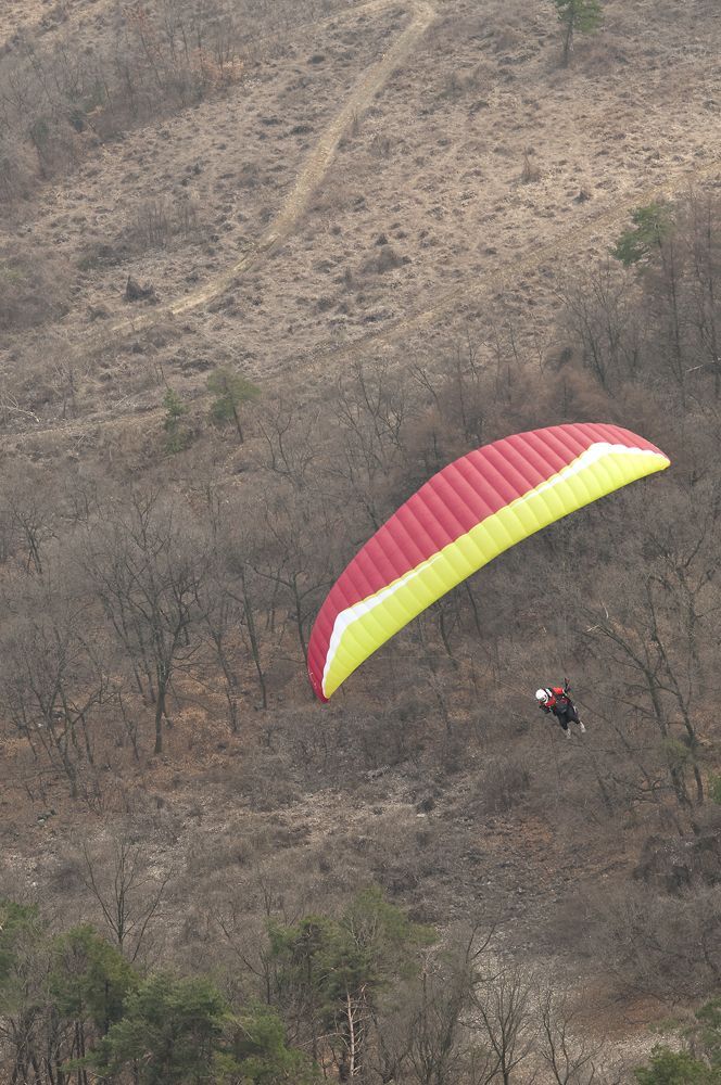 D15_3105.jpg