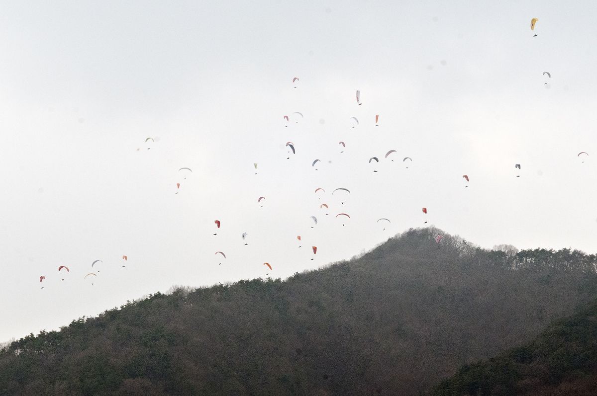 D15_3066.jpg