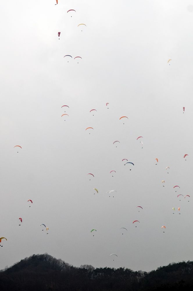 D15_3060.jpg