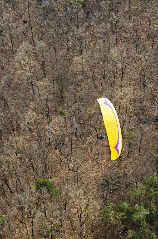 D15_3093.jpg