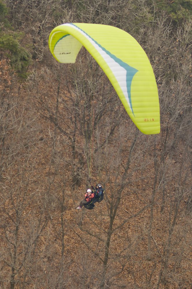 D15_3033.jpg