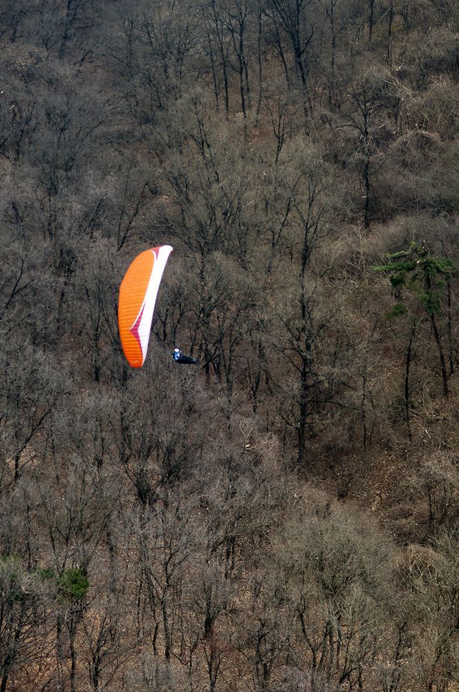 D15_2920.jpg