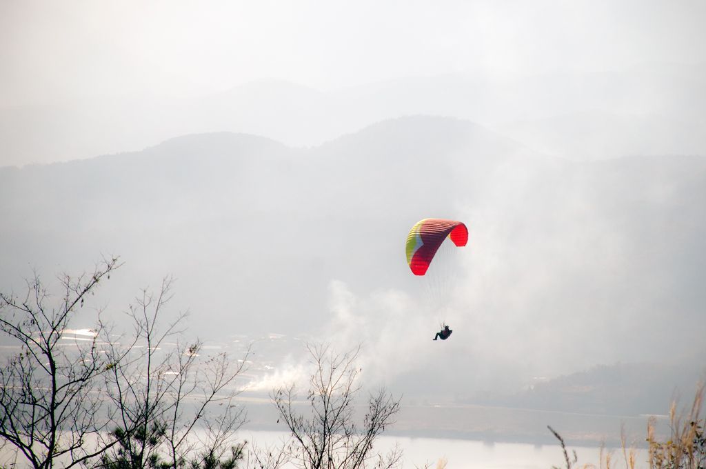 _D308994.jpg