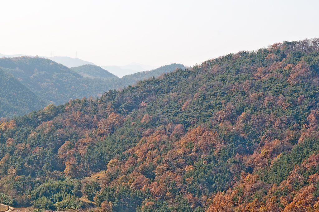 _D308947.jpg