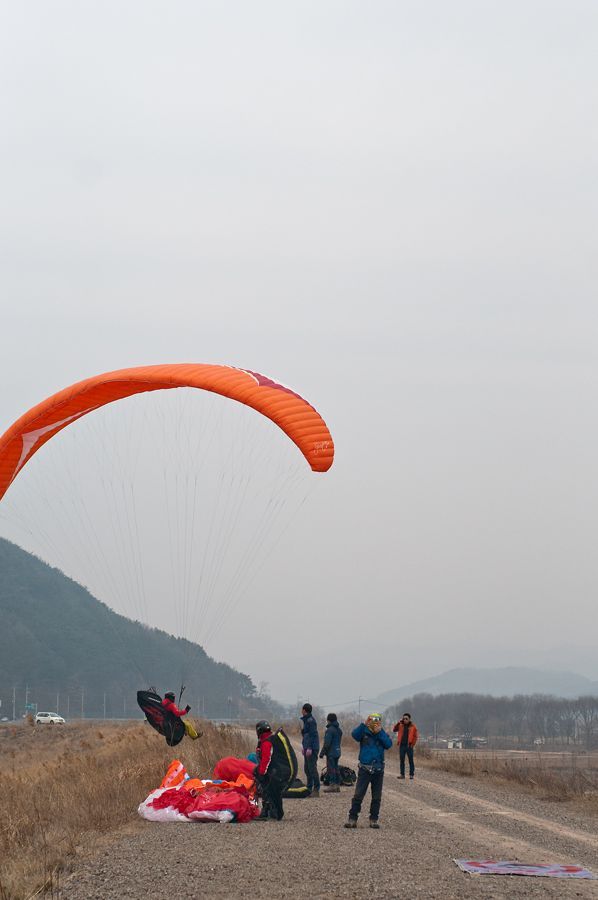 _D151581.jpg