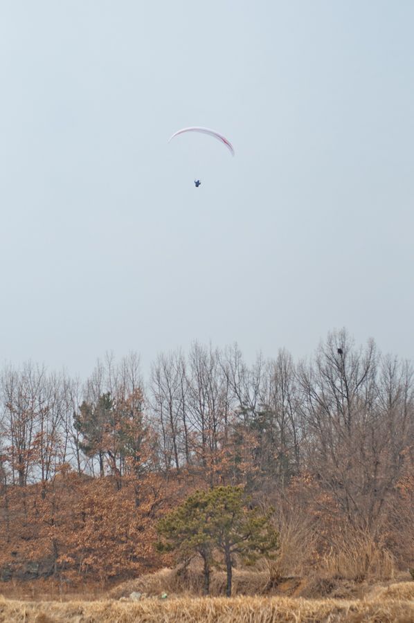 _D151505.jpg