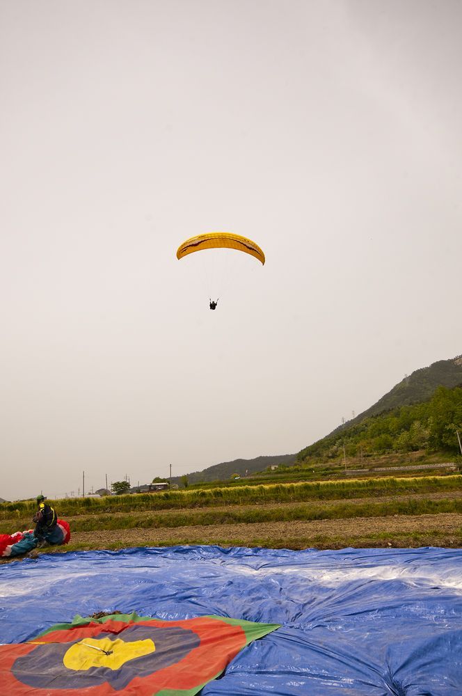 D15_4448.jpg