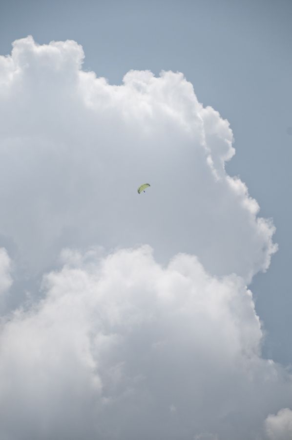 _D155367.jpg