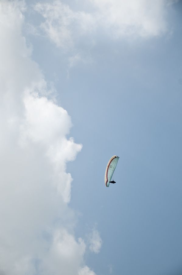 _D155504.jpg