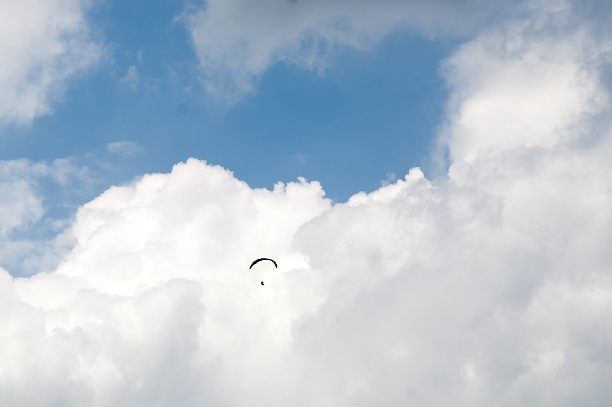 _D303884.jpg