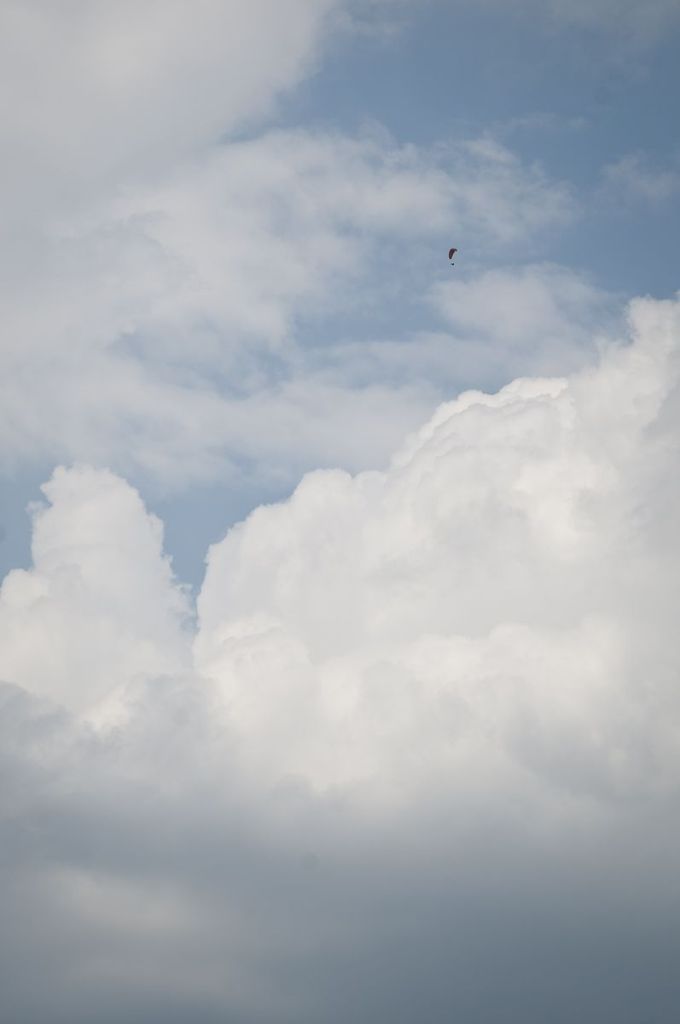 _D303877.jpg