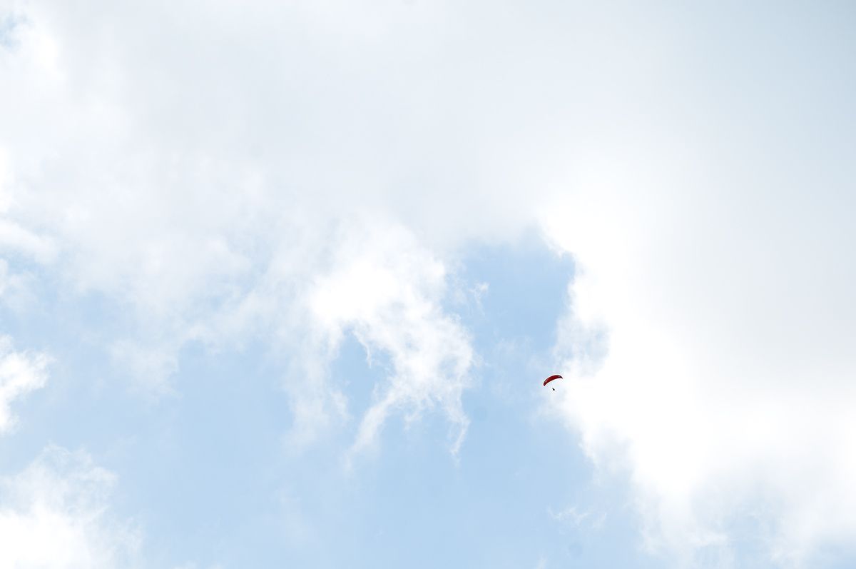 _D303879.jpg