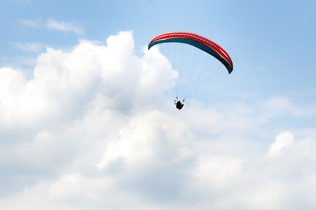 _D303860.jpg