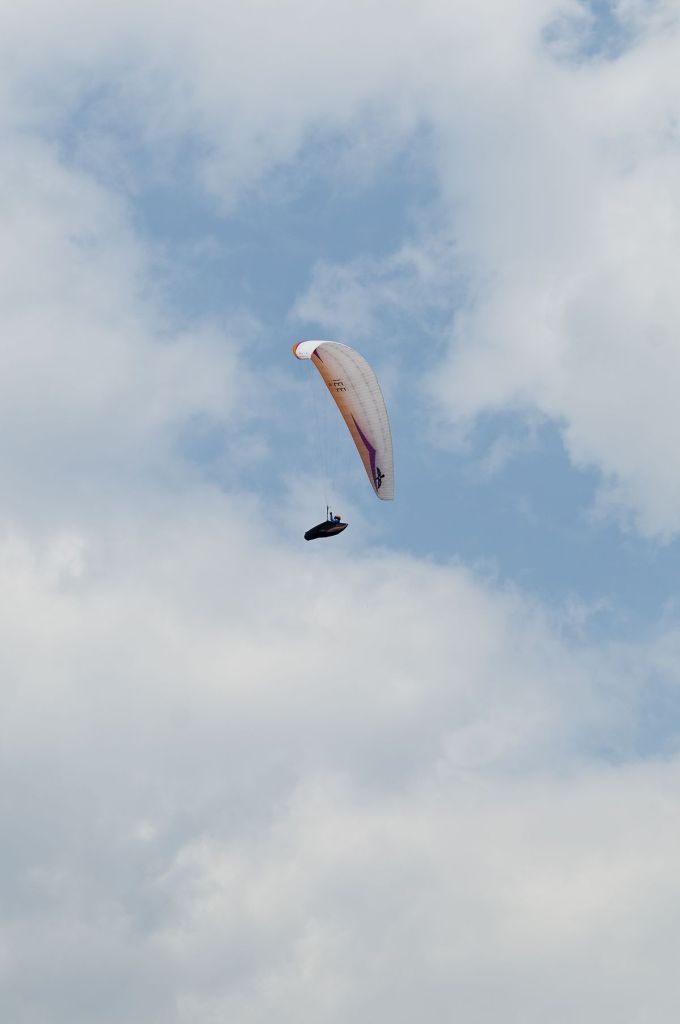 _D303916.jpg