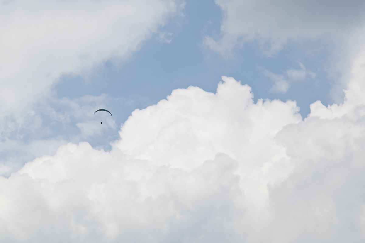 _D303889.jpg