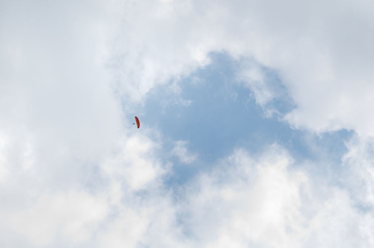 _D303868.jpg