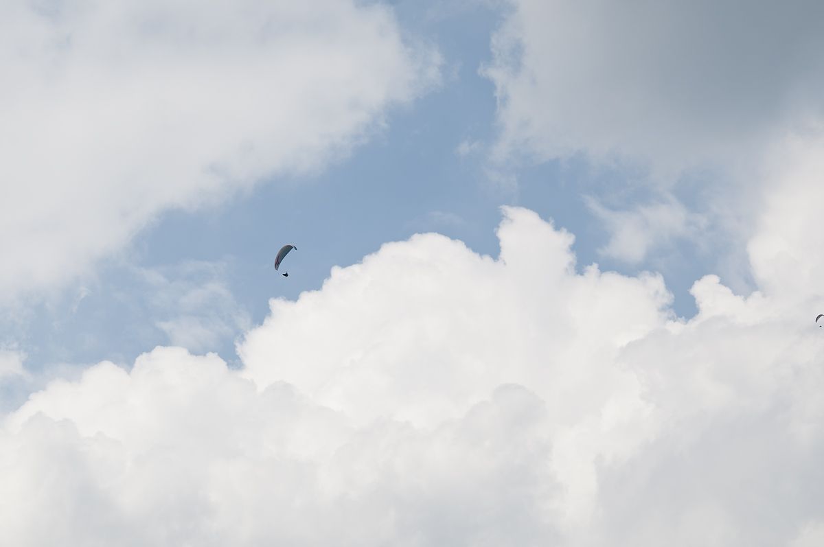_D303893.jpg